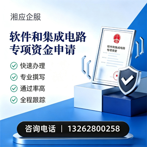温州软件和集成电路专项资金申报服务