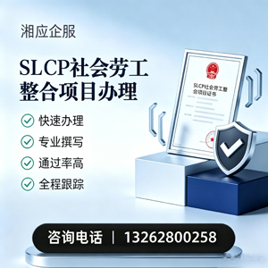 温州SLCP社会劳工整合项目申报服务