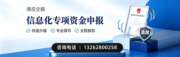 温州信息化专项资金申报服务