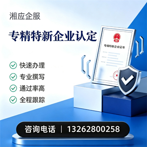 温州专精特新企业申报服务