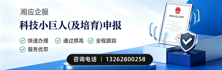 温州科技小巨人及培育企业申报服务