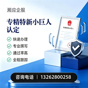 温州专精特新小巨人申报服务