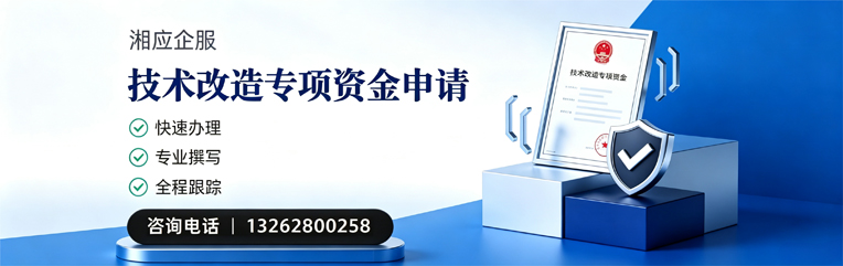 温州技术改造专项资金申报服务