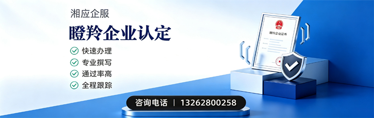 温州瞪羚企业认定申报服务