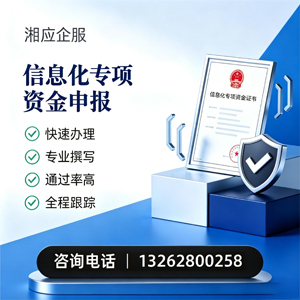 温州信息化专项资金申报服务