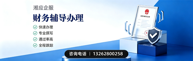 温州财务辅导申请服务