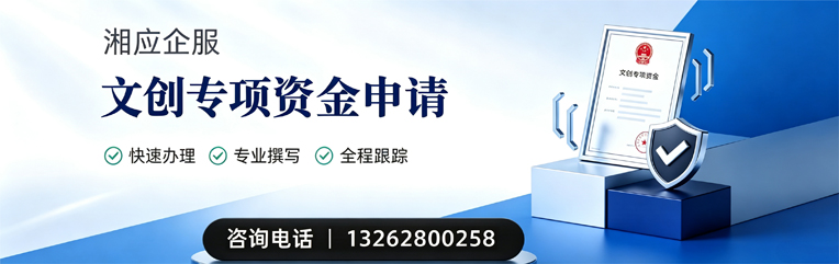 温州文创专项资金申报服务