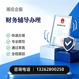 温州财务辅导申请服务