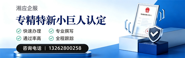温州专精特新小巨人申报服务